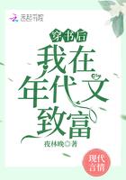 穿书在年代文里甜宠文