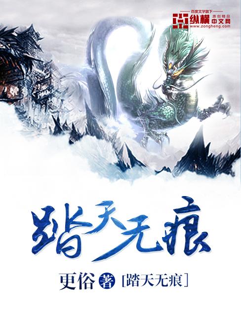 踏天无痕几个老婆
