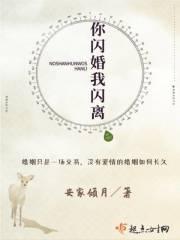 闪离闪婚