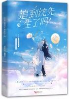 今天追到陆先生了吗免费
