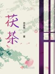 茯茶功效作用与主治功