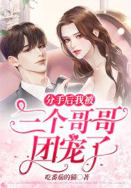 全职高手番外篇王朝与少年