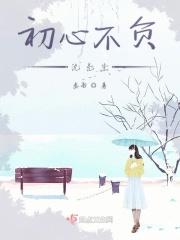 沈先生第二场在