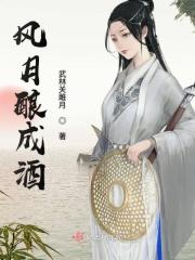 风月酌酒什么意思