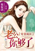 宠妻成瘾老公