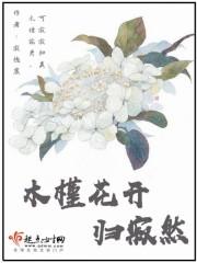 木槿花开正好是什么意思下一句